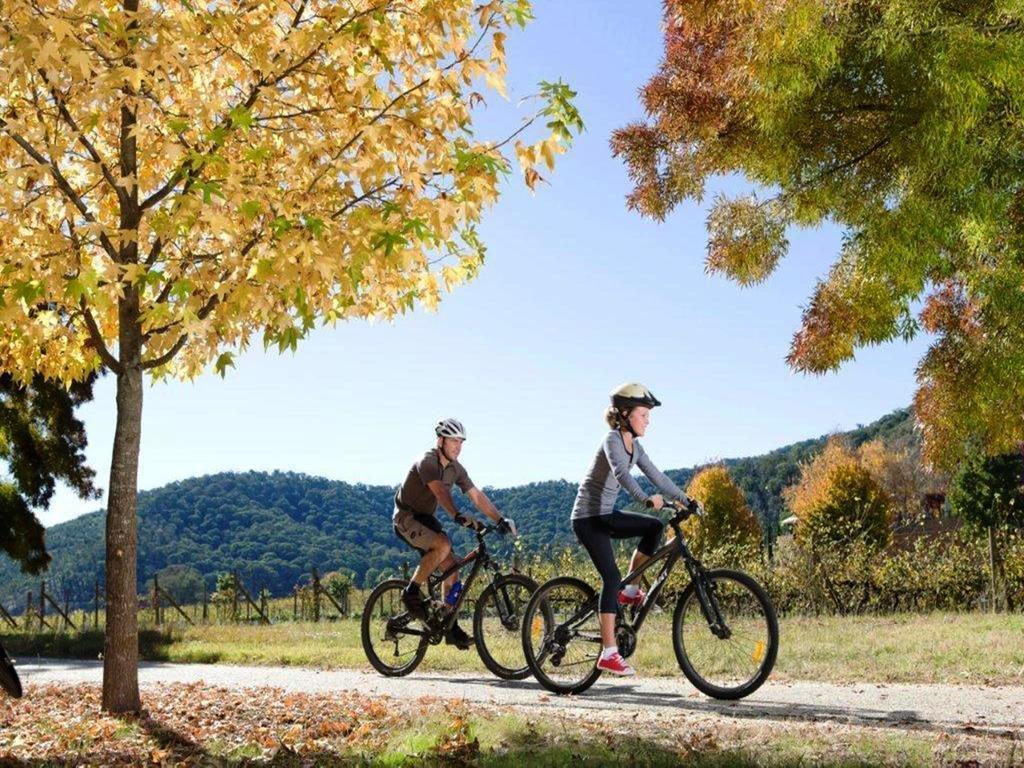 Discovery Parks - Bright Freeburgh Ngoại thất bức ảnh